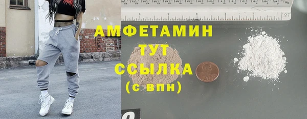 сатива Бронницы
