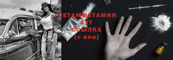 сатива Бронницы