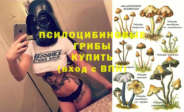 соль ск Бугульма