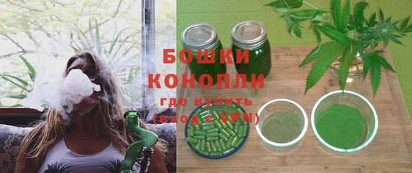 сатива Бронницы